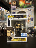 Funko Pop Harry Potter with Hedwig
