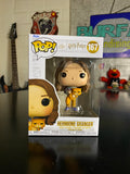 Funko Pop Hermione Granger with Crookshanks